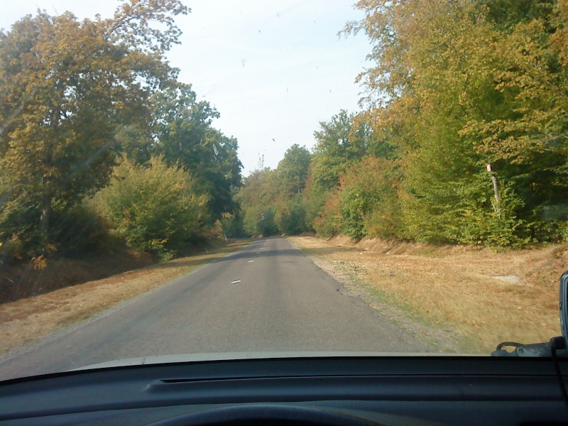 dsc00319.jpg