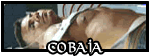 Cobaia Cobaia