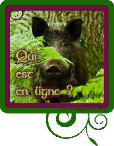 Qui est en ligne ?