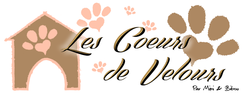 Les Coeurs de Velours | Protection Animale | Nîmes - Alès - Cahors - Figeac