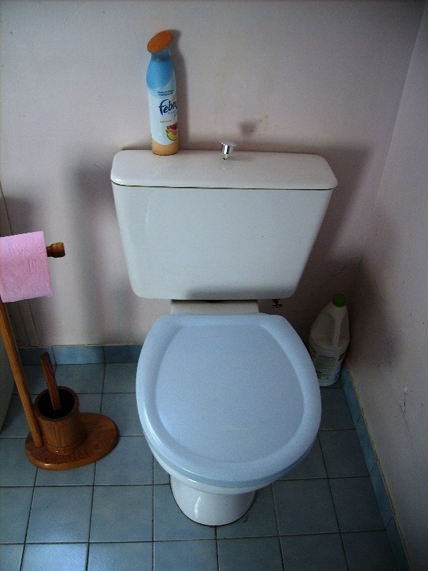 toilet10.jpg