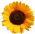 New posts