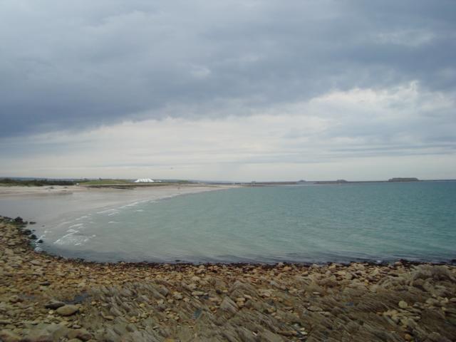 dsc01720.jpg