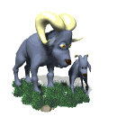 animau16.gif