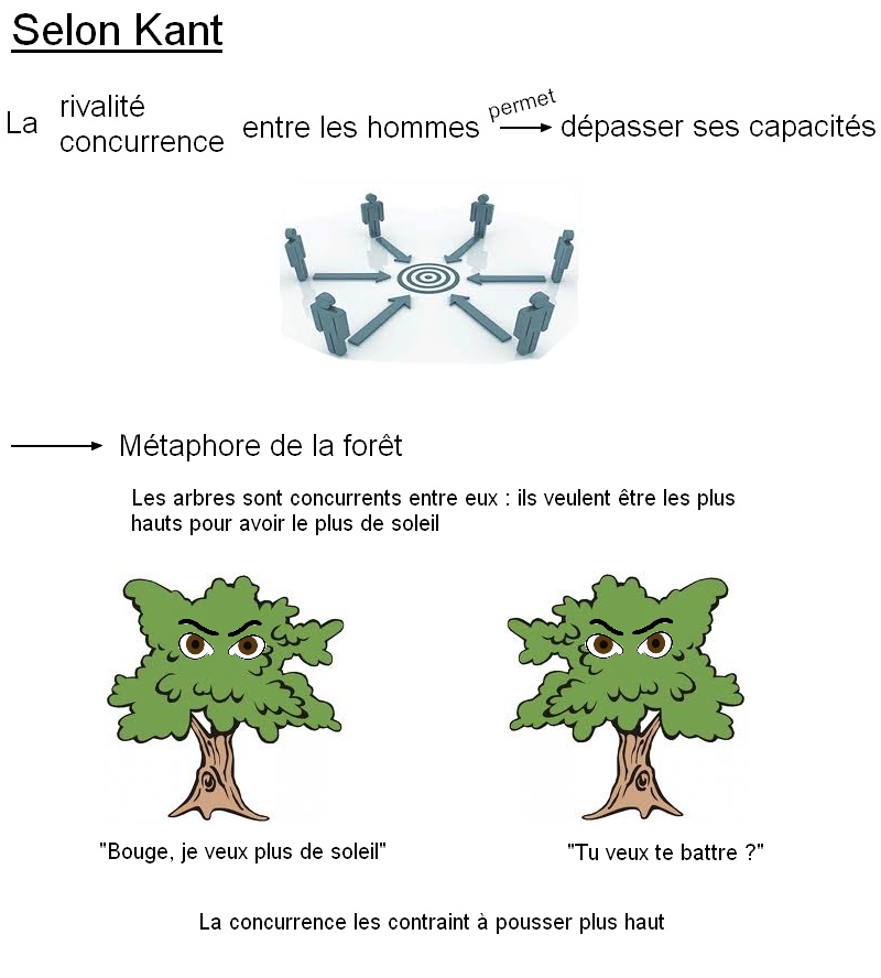 1. L'insociable sociabilité de l'Homme (Kant)